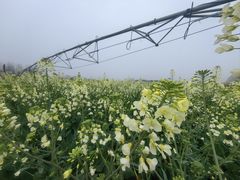 -中国天府农业博览园