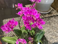 -黔蘑菇四季餐厅(观山湖店)