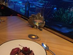 -迪拜帆船酒店海底餐厅