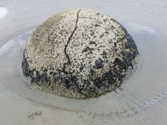 -摩拉基大圆石