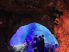 -沈阳海洋探索中心