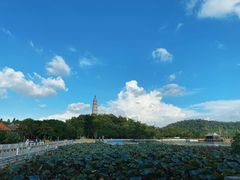 -顺峰山公园