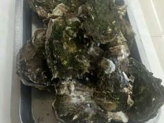 -渔民船说·北塘海鲜·天津菜·海肠捞饭(北塘古镇店)