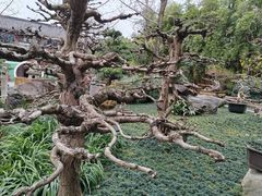 -成都武侯祠博物馆