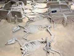 -洛阳周王城天子驾六博物馆