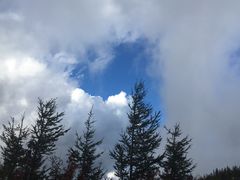 -富士山吉田線五合目