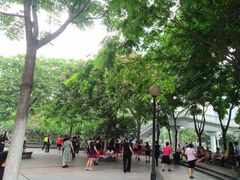 -后襄河公园