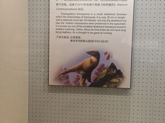 -辽宁古生物博物馆