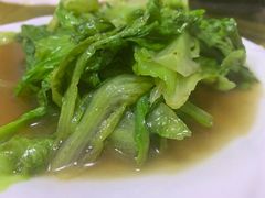 -煲来饱去冷水鱼