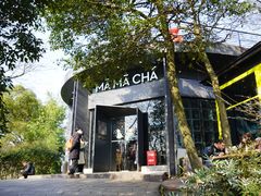 门面-MAMACHA妈妈茶(岳麓山店)