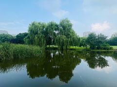 -裕华世纪公园