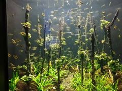 -成都浩海立方海洋公园