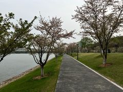 -羊山湖公园