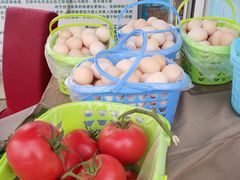 -大自然农场蔬菜草莓采摘园