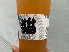 -猫的魔法密林(衣裳街店)