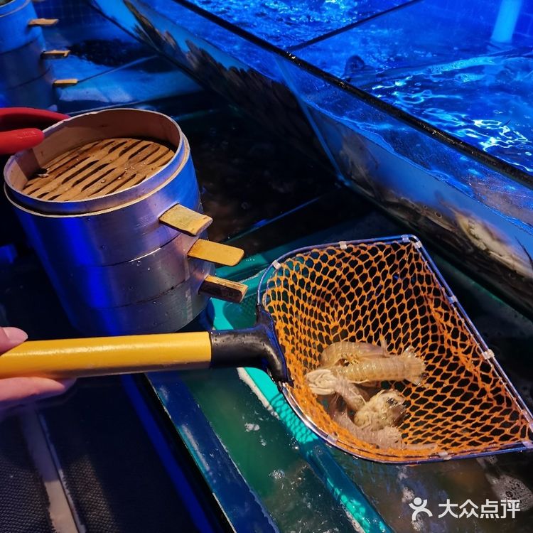 深圳新店丨首家5D概念自助餐厅，实现海鲜自由‼️ 