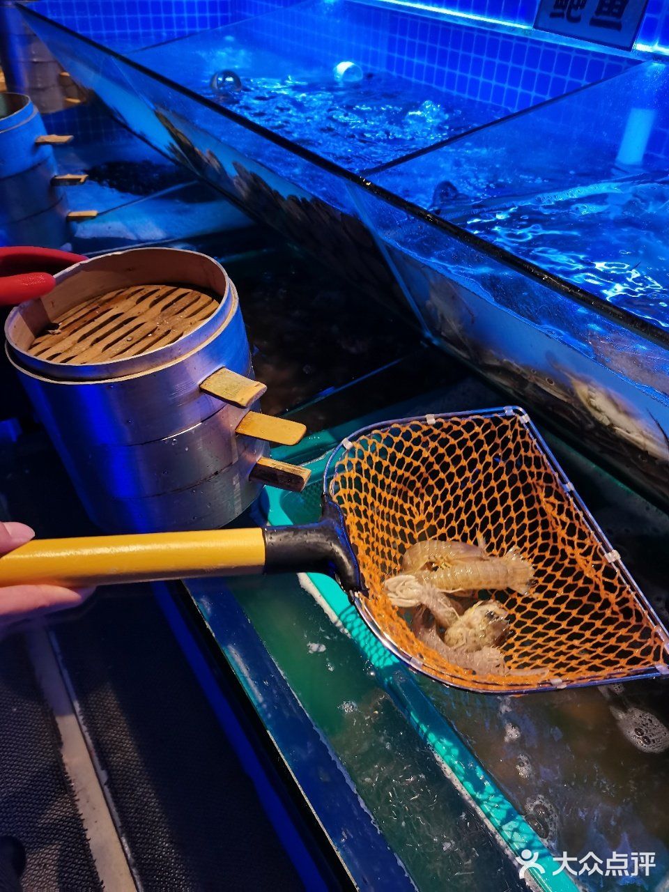 深圳新店丨首家5D概念自助餐厅，实现海鲜自由‼️ 