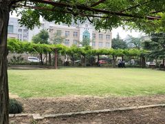 -嘉定紫藤园