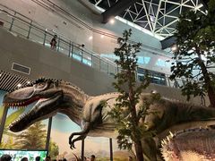 -湖南省地质博物馆