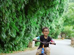 -贵阳市花溪国家城市湿地公园