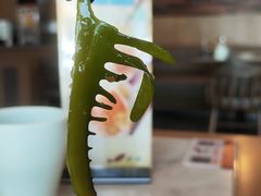 -船歌·鱼水饺青岛菜(石老人店)