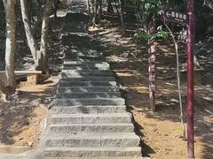-清溪大王山森林公园