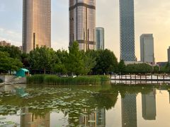 -大望京公园