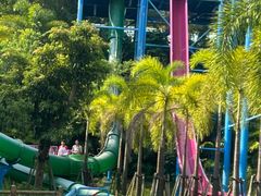 -美的鹭湖探索王国