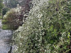 -中国茶叶博物馆(双峰馆区)