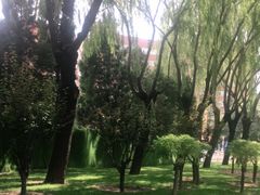 -第二外国语学院-韩国餐厅(朝阳路店)