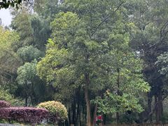 -敬亭山风景名胜区