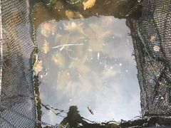 -海上驿站渔家菜馆