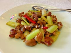 -欢乐海岸美食联盟
