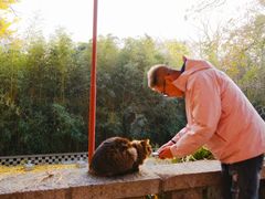 -青岛崂山太清宫