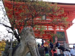 -有栖山 清光院 清水寺