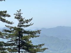 -老君山风景名胜区