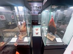 -飞来湖湿地公园