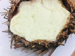 海胆蒸饺-海胆小馆(东北水饺·春柳店)