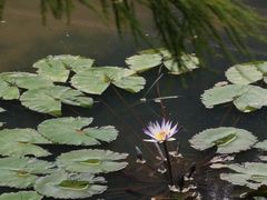 -云溪植物园