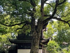 -惠山古镇·寄畅园