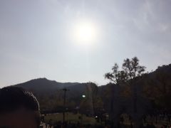 -千年银杏谷文化旅游区