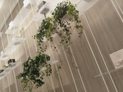 景观位-奈雪的茶(市百一店)