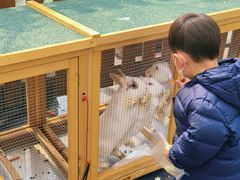 -J Create城市露营咖啡·简餐·宠物(上海动物园店)