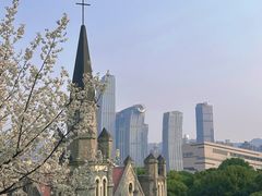 -重庆市江北嘴中央商务区中央公园