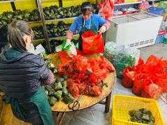 -鼎香皇高佬苏裹蒸粽