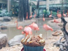 -麒麟中餐厅·经典粤菜·地道菜式老字号(广州长隆酒店)