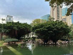 -九龙公园