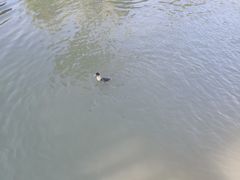 -武汉紫薇都市田园