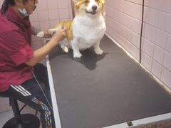 -FAELING PETS美天灵宠物(富力广场店)