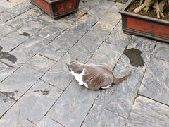-长春观